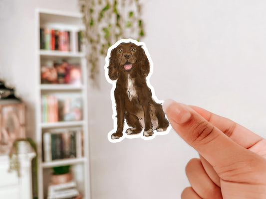 Boykin Spaniel Sticker