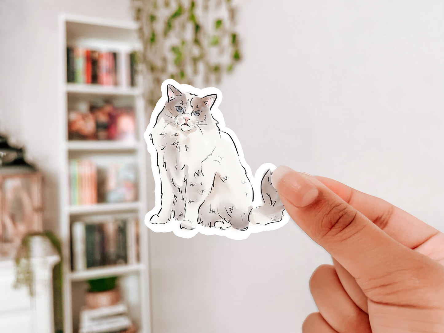 Ragdoll Cat Sticker