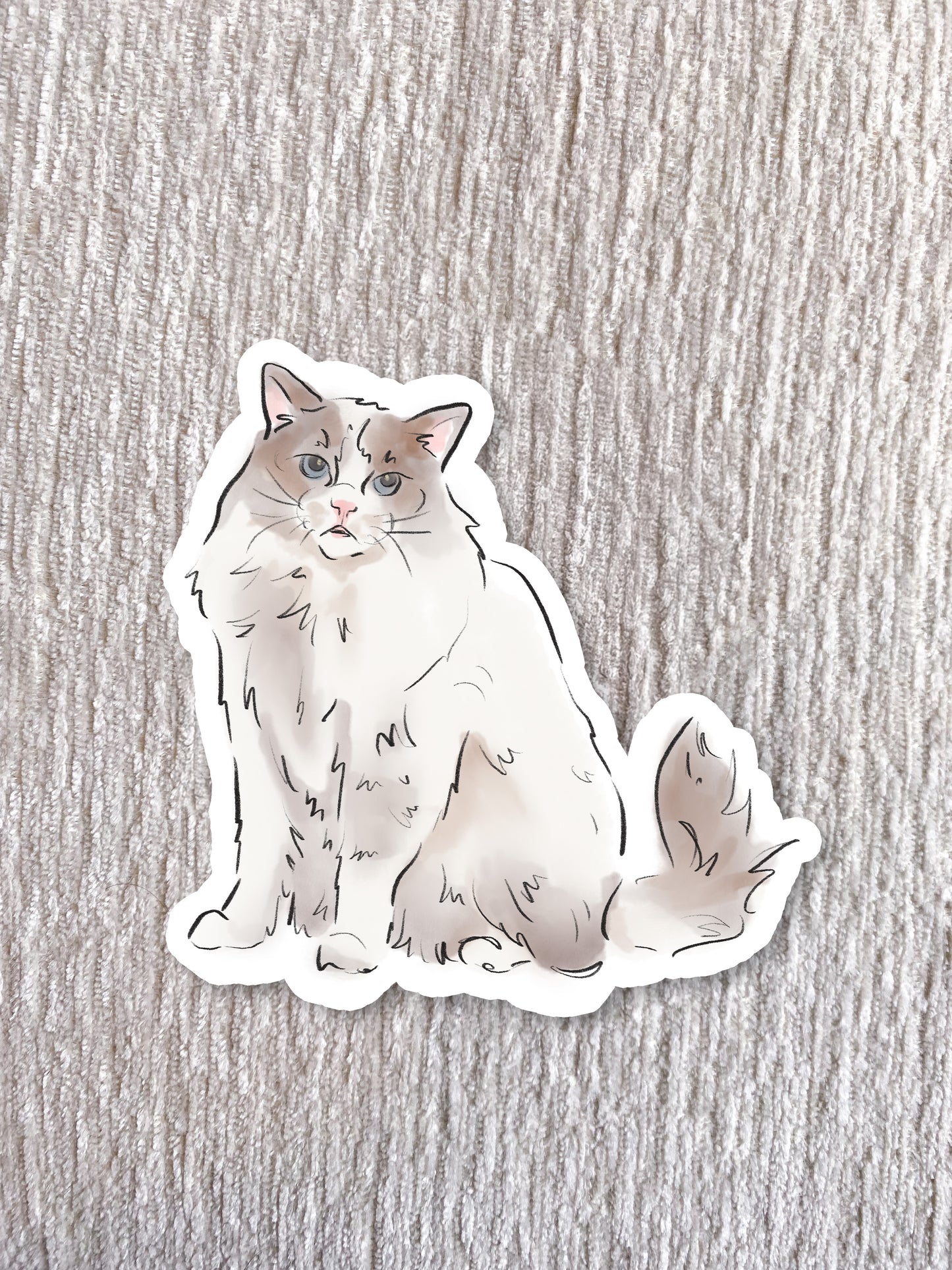 Ragdoll Cat Sticker